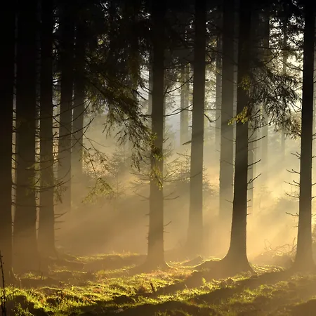 L'amandier 3* Libramont-Chevigny