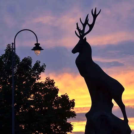 L'amandier 3* Libramont-Chevigny