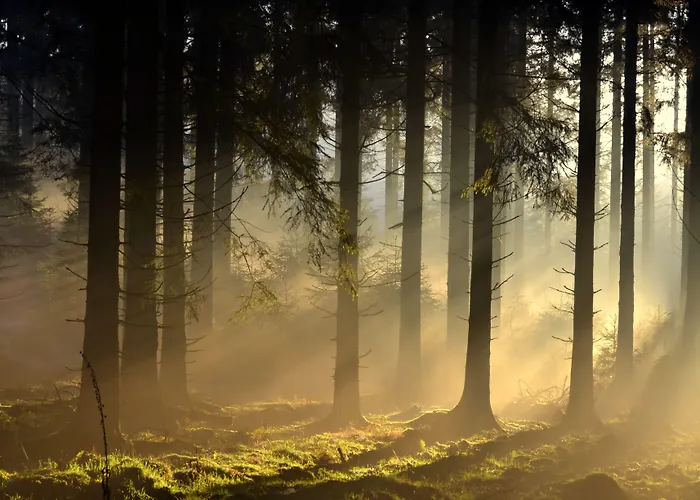 L'amandier 3* Libramont-Chevigny